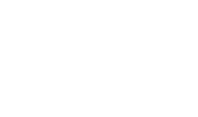 vide